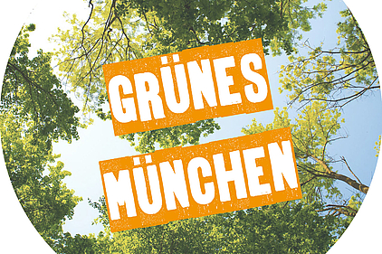 Baumentscheid: Rückenwind für ein grüneres München Baumentscheid: Rückenwind für ein grüneres München